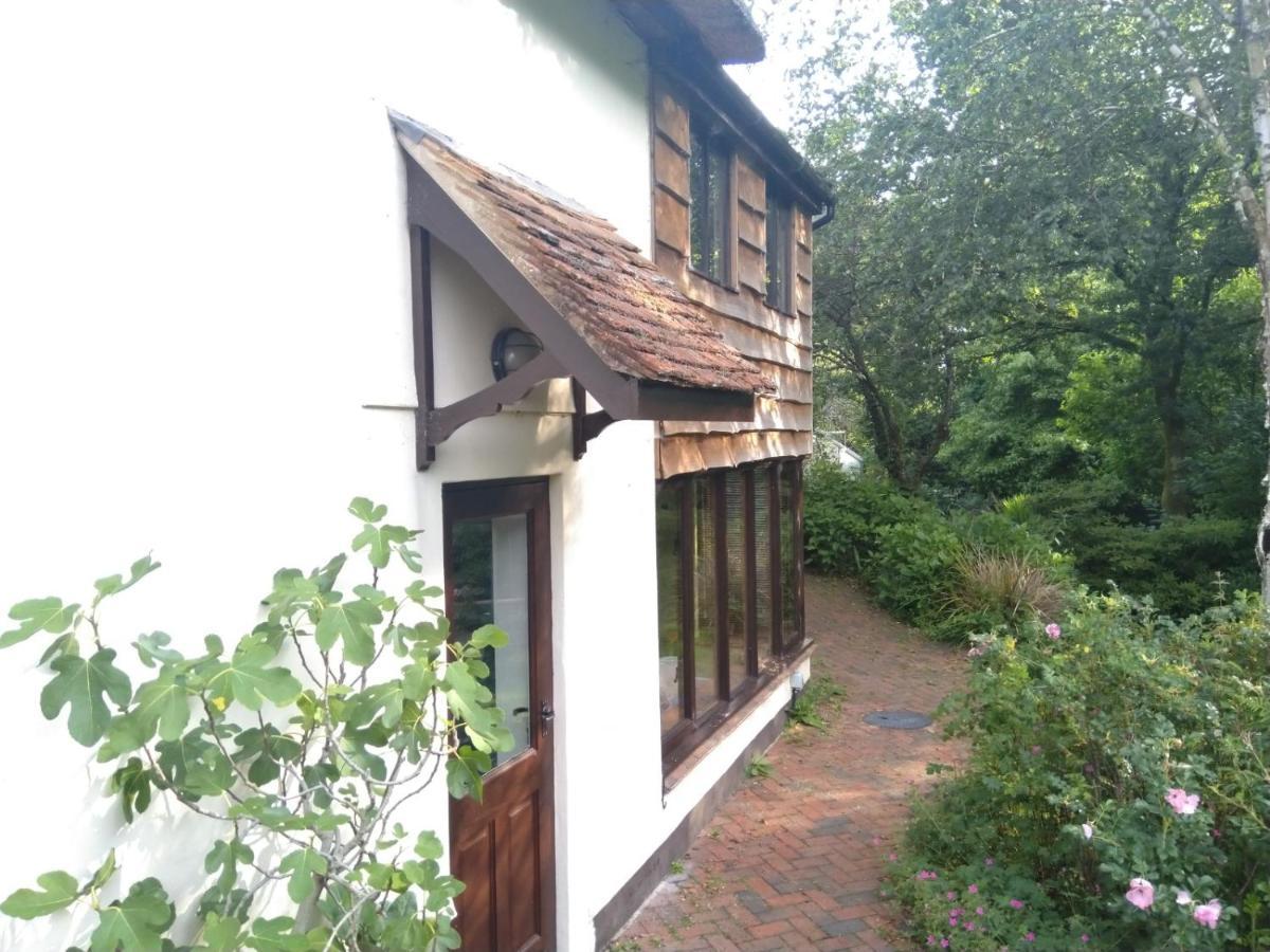 The Woodstore Dunkeswell Екстериор снимка